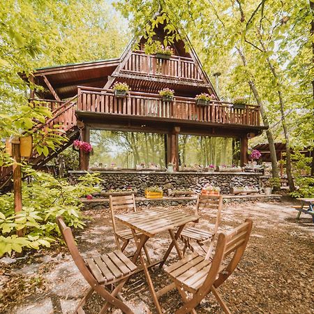 Matilde's Chalet Etna Nature House Nicolosi Extérieur photo