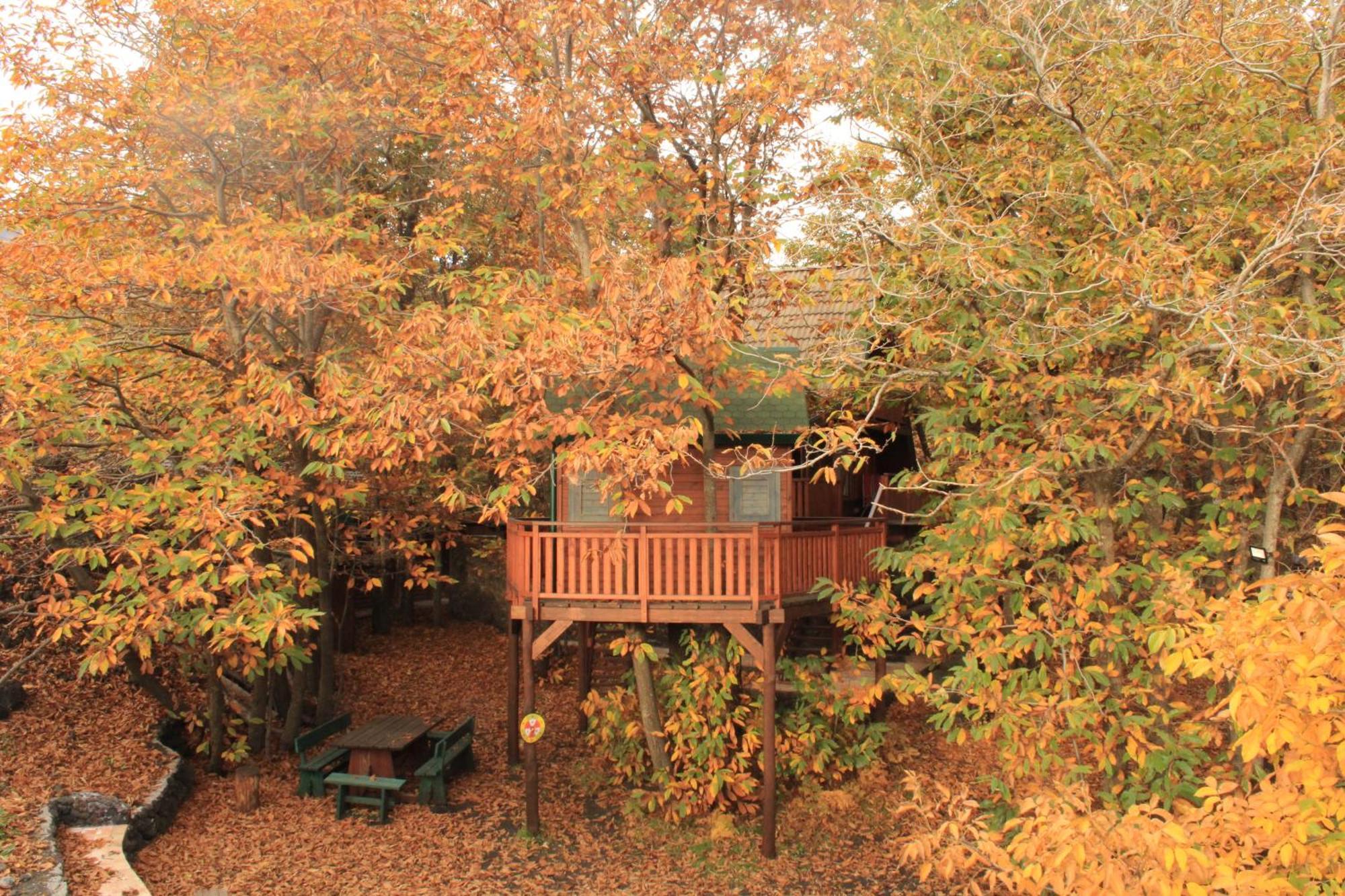 Matilde's Chalet Etna Nature House Nicolosi Extérieur photo