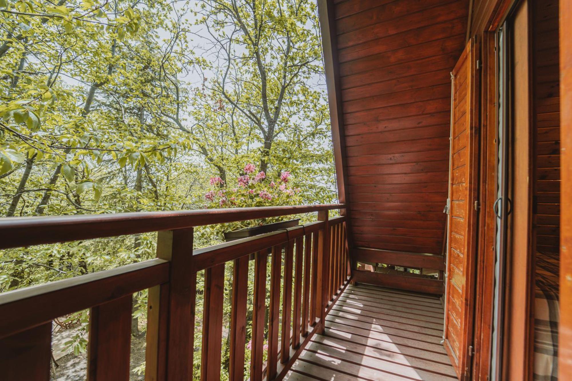 Matilde's Chalet Etna Nature House Nicolosi Extérieur photo