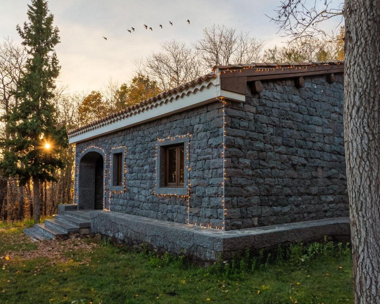 Matilde's Chalet Etna Nature House Nicolosi Extérieur photo